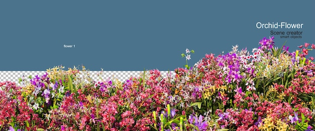 Un rendu 3D d'orchidées colorées
