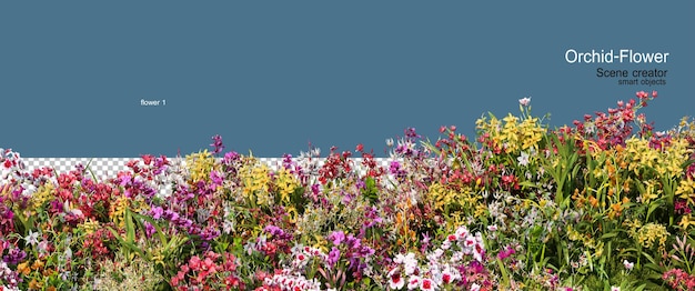 Un rendu 3D d'orchidées colorées