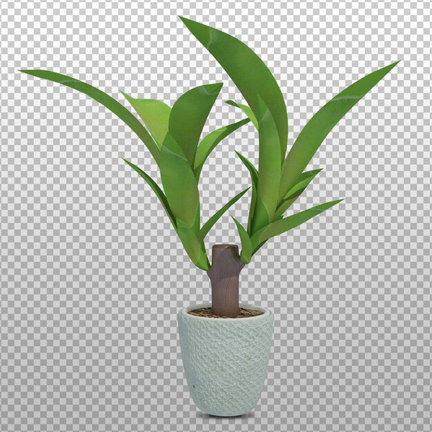 Rendu 3d De Plante