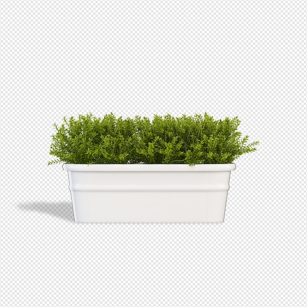 Rendu 3D de plante