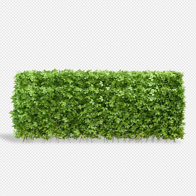 Rendu 3D de plante