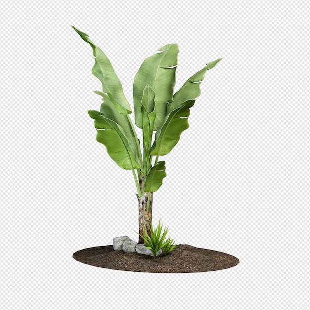 PSD rendu 3d de plante