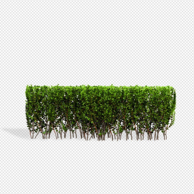 PSD rendu 3d de plante