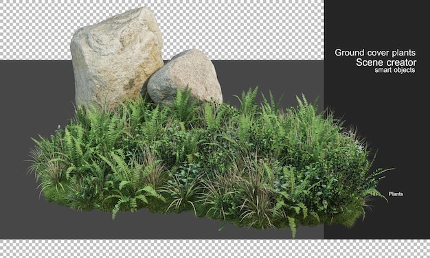 PSD rendu 3d de plantes de couverture et de gros rochers