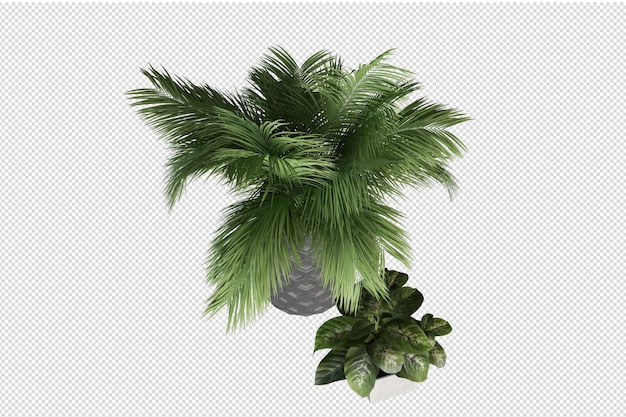 Rendu 3D de la vue de dessus de l'arbre