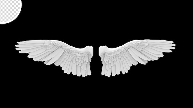 Rendu d'ailes 3d avec fond transparent