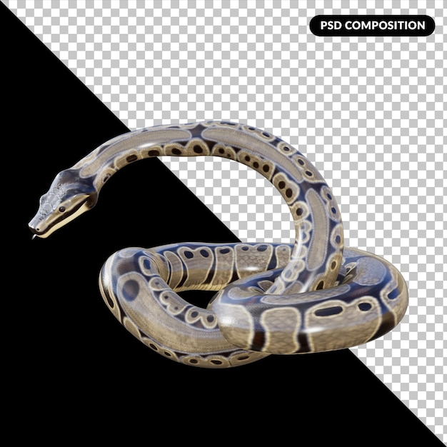 PSD rendu isolé d'animal serpent 3d