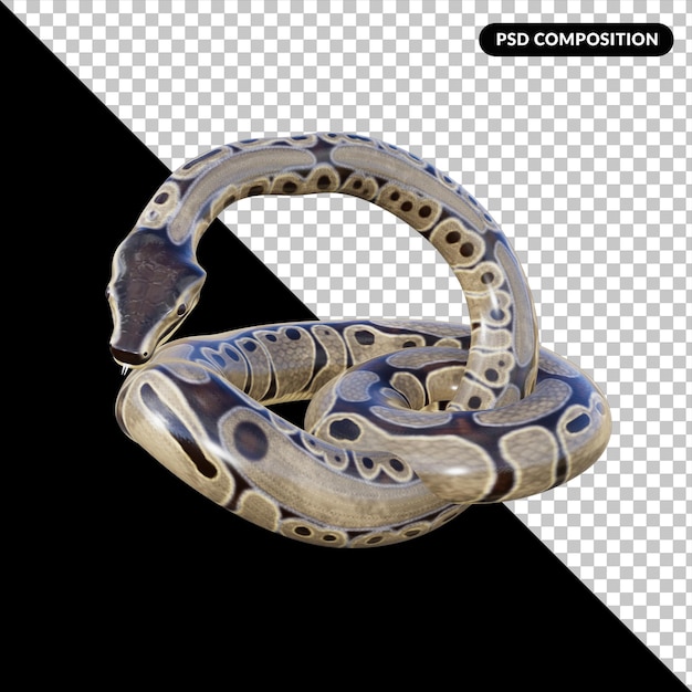 PSD rendu isolé d'animal serpent 3d