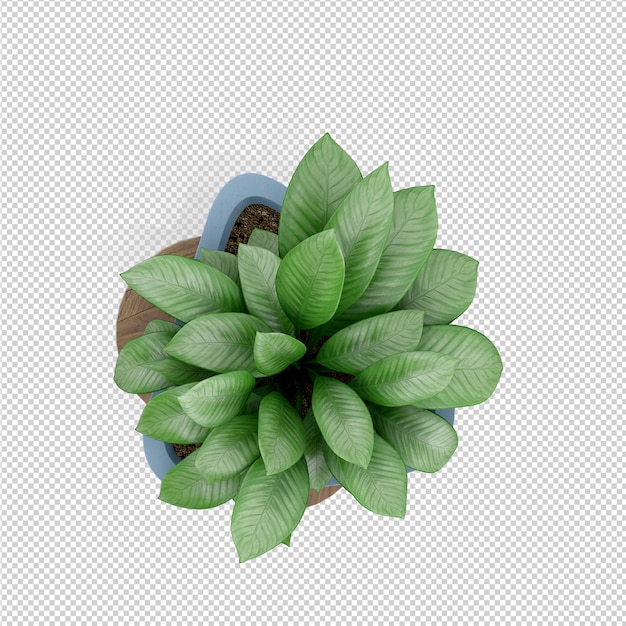 Rendu isométrique 3d