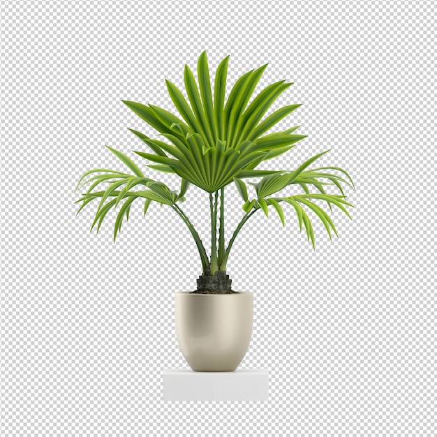 Rendu isométrique 3d