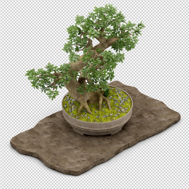 Rendu isométrique 3d