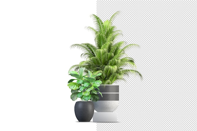 Rendu de plante isolée isométrique