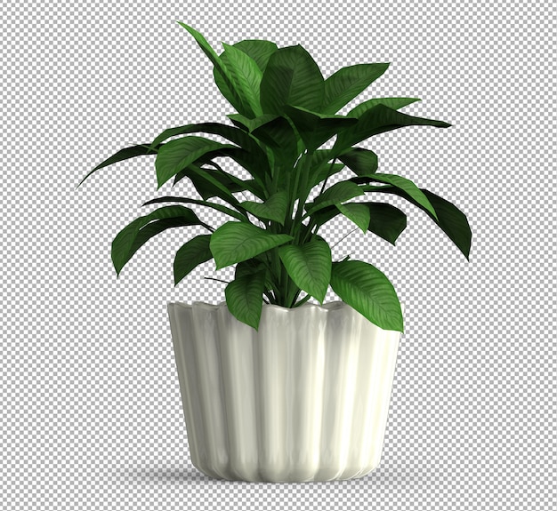 Rendu de plante isolée. Vue de face isométrique. 3D.