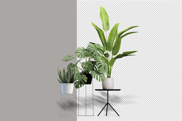 Rendu de la vue de face isométrique du pot en métal de plante isolée transparent