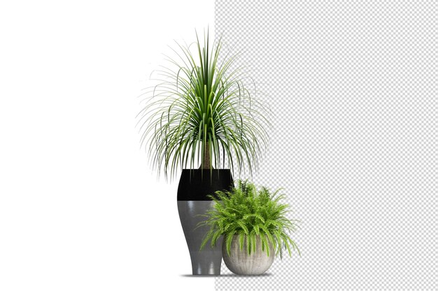 Rendu de la vue de face isométrique du pot en métal de plante isolée transparent