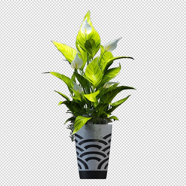 Rendu de la vue de face isométrique du pot en métal de plante isolée transparent