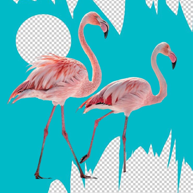 PSD replica del pájaro flamenco