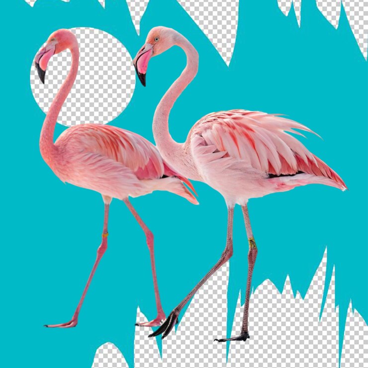 PSD replica del pájaro flamenco