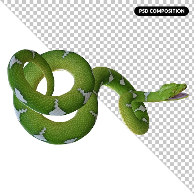 Representación 3d aislada de serpiente pyton