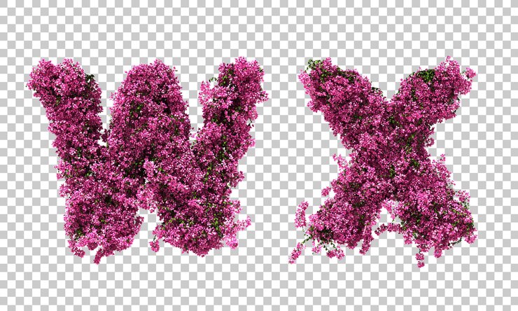 PSD representación 3d del alfabeto de buganvillas