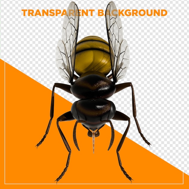 Representación 3D del animal de la abeja de miel de cerca con fondo transparente