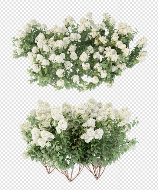 PSD representación 3d del árbol de hortensias