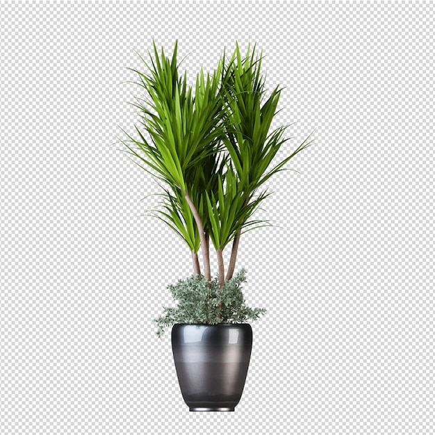 Representación 3D árbol de objeto de naturaleza aislado
