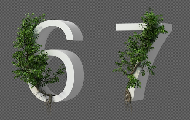 Representación 3D del árbol rastrero en el número 6 y número 7