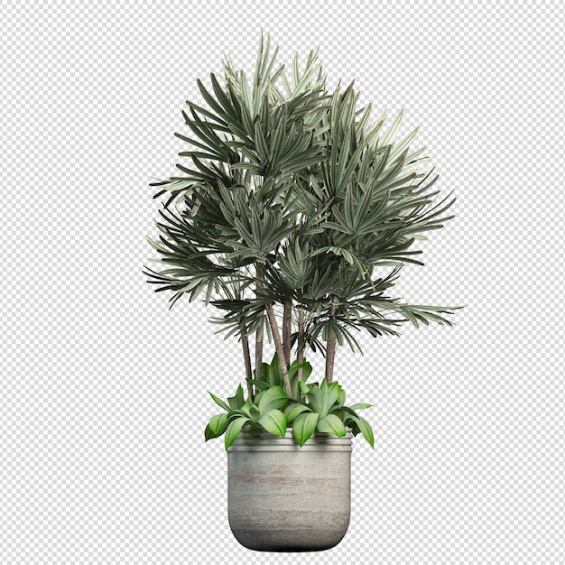 Representación 3D de árboles de zanahoria