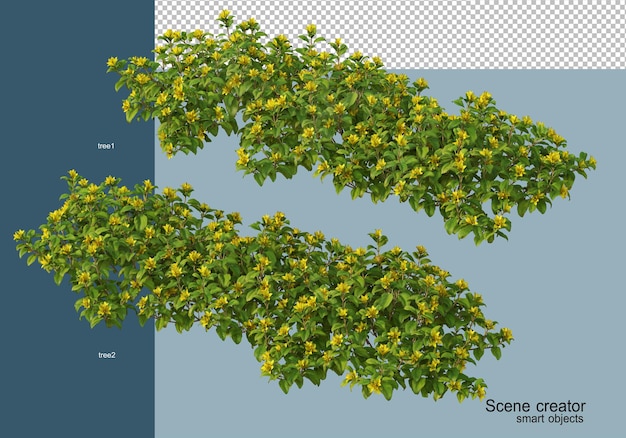 Representación 3D de arbustos en flor aislados