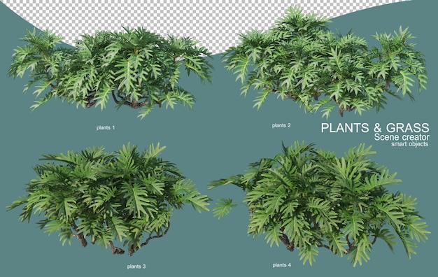 Representación 3d de arreglos de césped y arbustos