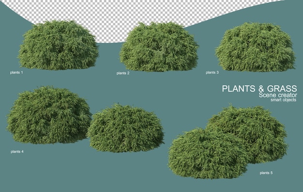 Representación 3d de arreglos de césped y arbustos