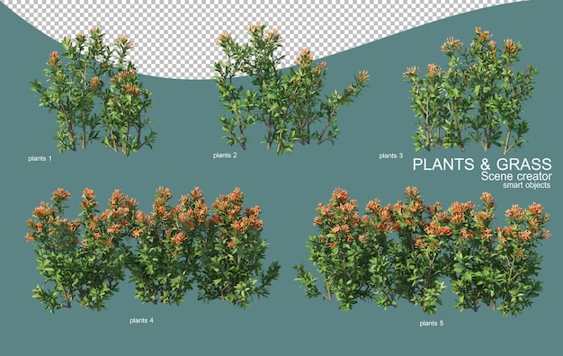 Representación 3d de arreglos de césped y arbustos