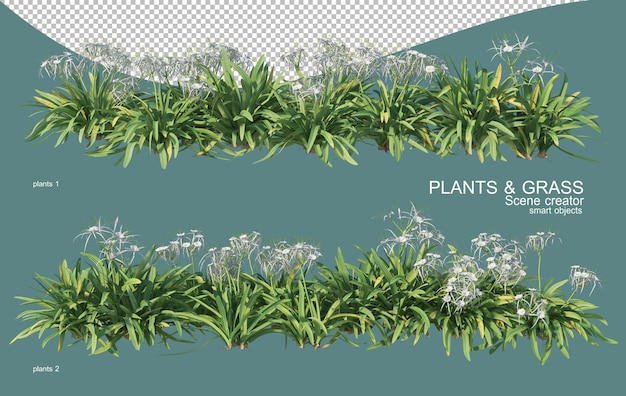 Representación 3d de arreglos de césped y arbustos