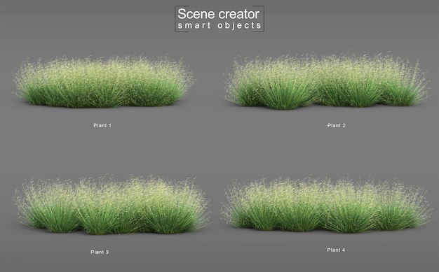Representación 3D de Blonde Ambition Blue Grama Grass Scene Creator