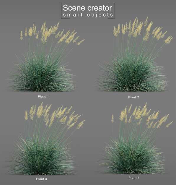 Representación 3d de boulder blue fescue grass