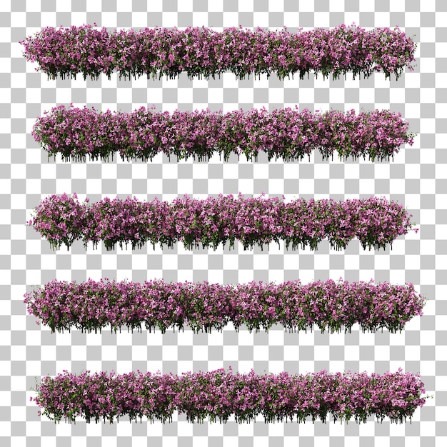 Representación 3D de buganvillas