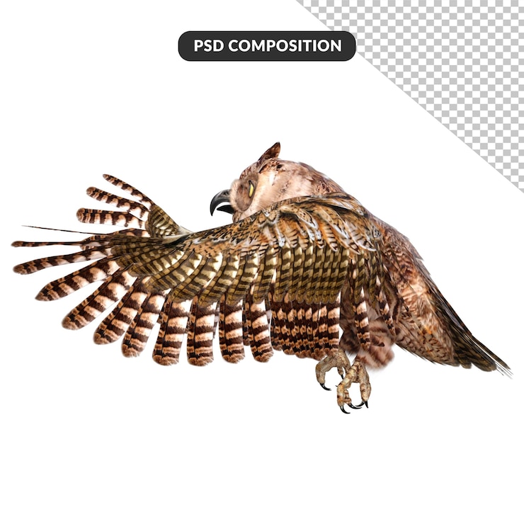 PSD representación 3d de buhos