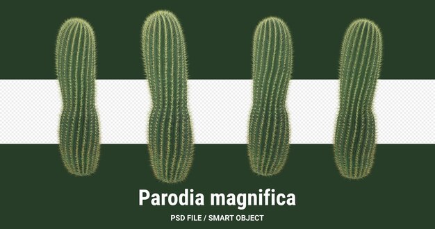 Representación 3D de cactus aislado