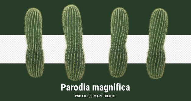 PSD representación 3d de cactus aislado