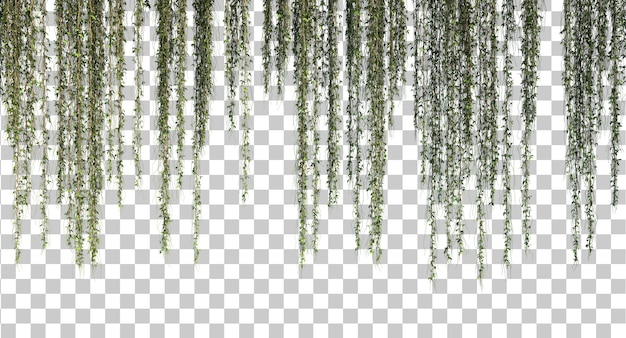 Representación 3D del conjunto de plantas colgantes