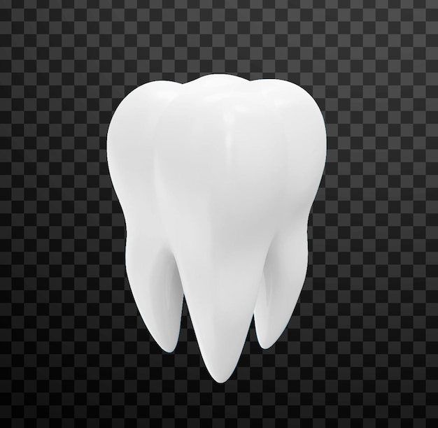 representación en 3D de los dientes sobre un fondo transparente