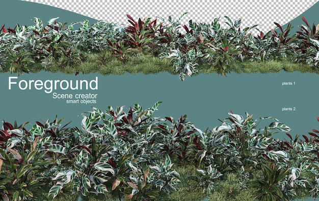Representación 3D del diseño de primer plano de las plantas