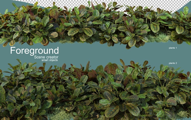 Representación 3D del diseño de primer plano de las plantas
