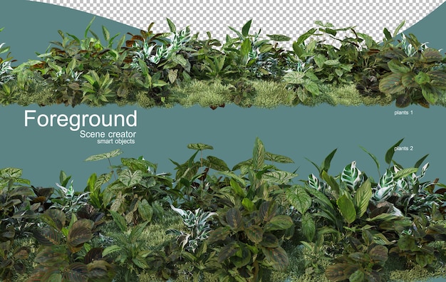 Representación 3D del diseño de primer plano de las plantas