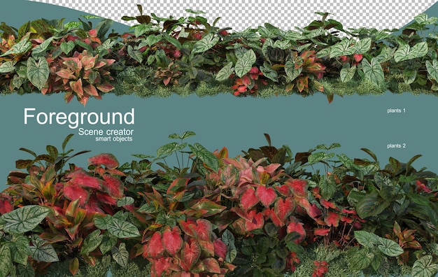 Representación 3D del diseño de primer plano de las plantas