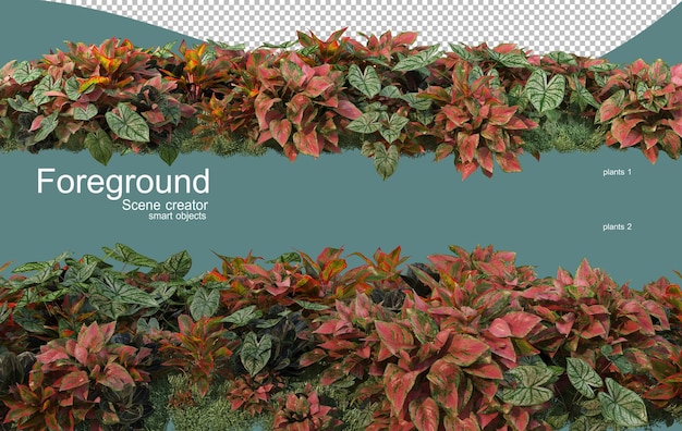 Representación 3D del diseño de primer plano de las plantas