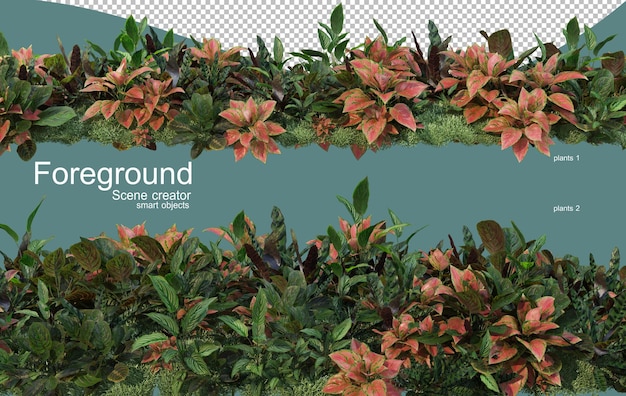 Representación 3D del diseño de primer plano de las plantas