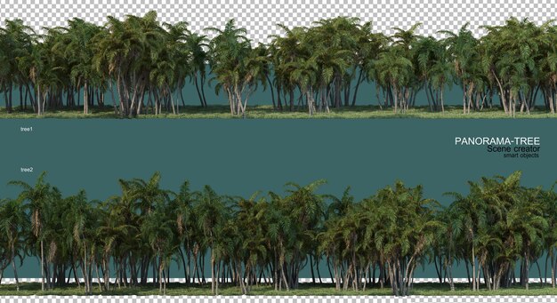 Representación 3D de la disposición del árbol de gran angular