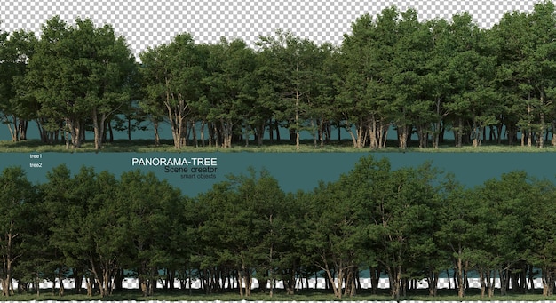 Representación 3D de la disposición del árbol de gran angular